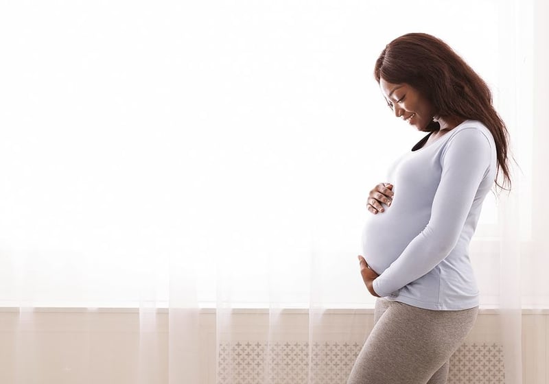 The 5 Best Dietitians for Pregnancy in 2023?noresize