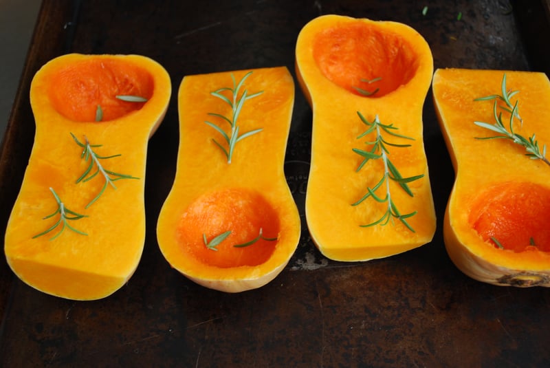 Seasonal Spotlight: Butternut Squash?noresize